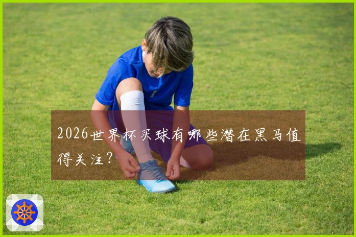 2026世界杯买球有哪些潜在黑马值得关注？