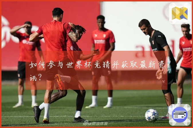 如何参与世界杯竞猜并获取最新资讯？