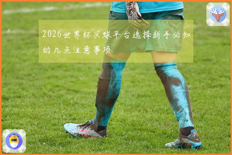 2026世界杯买球平台选择新手必知的几点注意事项
