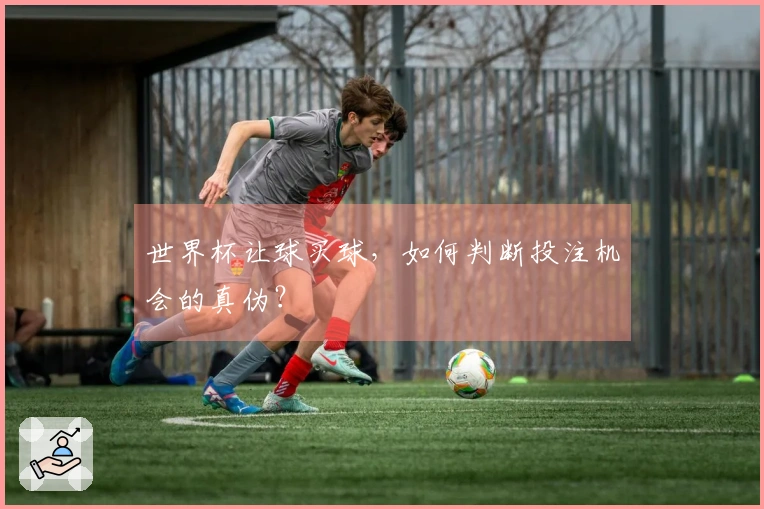 世界杯让球买球，如何判断投注机会的真伪？