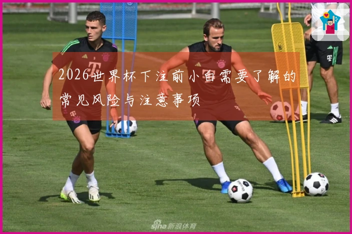 2026世界杯下注前小白需要了解的常见风险与注意事项