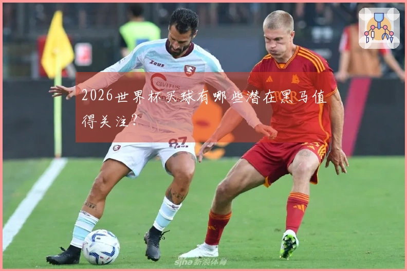 2026世界杯买球有哪些潜在黑马值得关注？