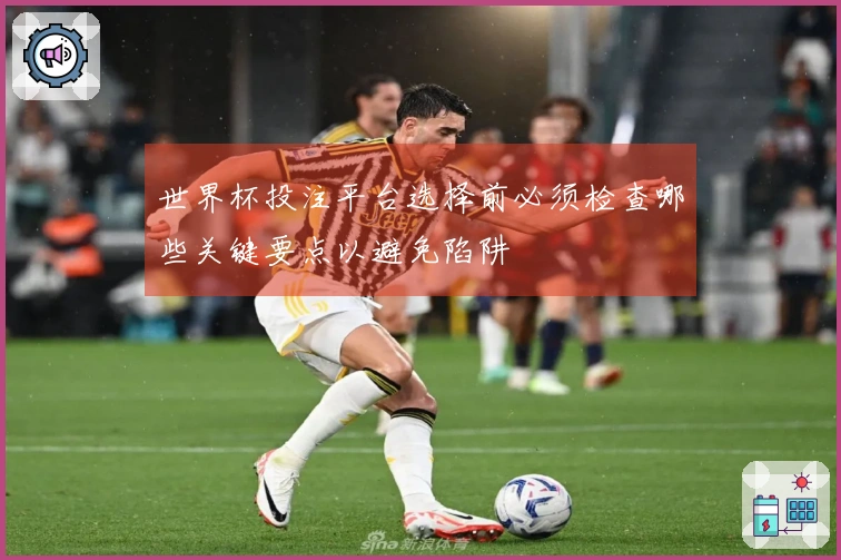 世界杯投注平台选择前必须检查哪些关键要点以避免陷阱