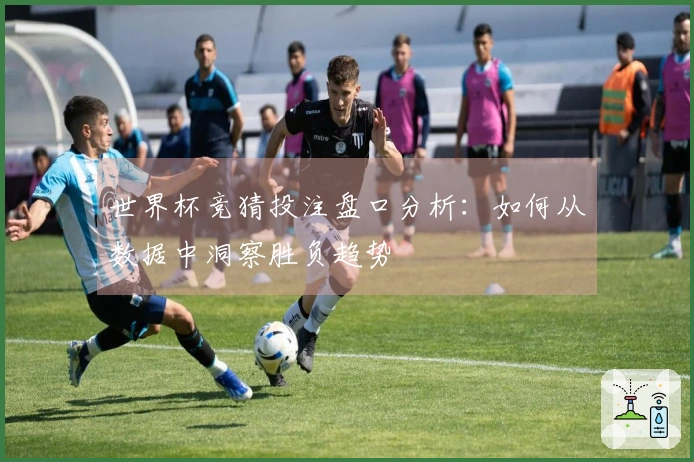 世界杯竞猜投注盘口分析：如何从数据中洞察胜负趋势