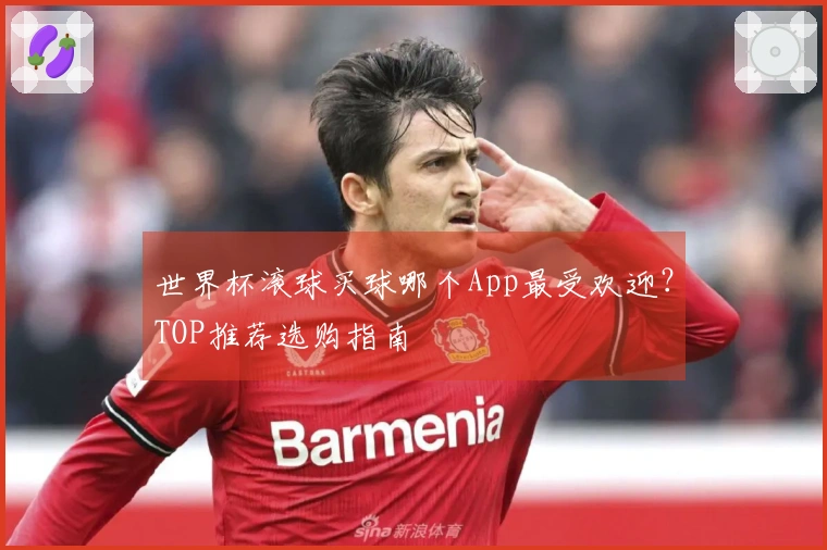 世界杯滚球买球哪个App最受欢迎？TOP推荐选购指南