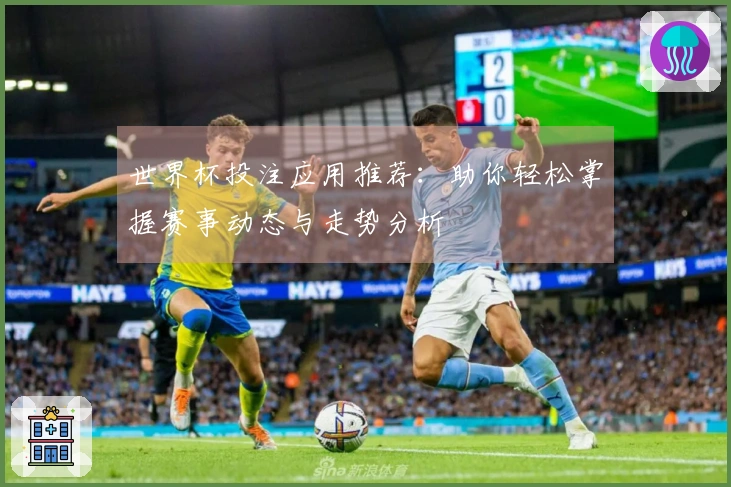 世界杯投注应用推荐：助你轻松掌握赛事动态与走势分析