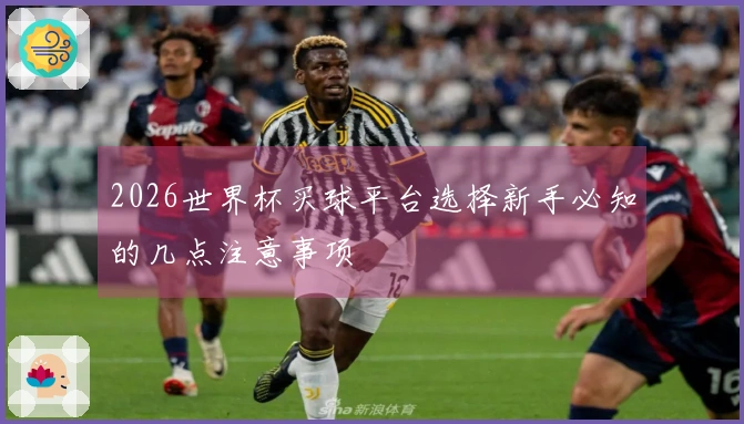 2026世界杯买球平台选择新手必知的几点注意事项